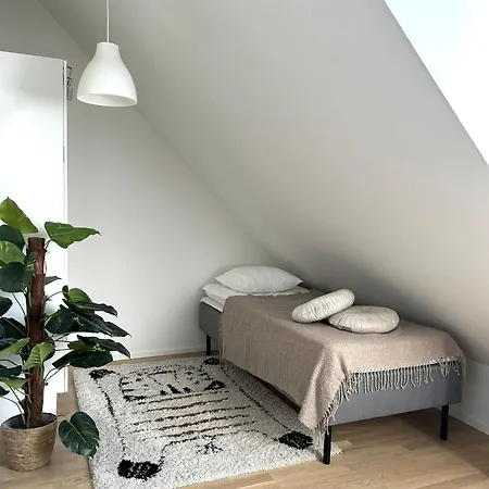 Pormestari Kokkola (Karleby)